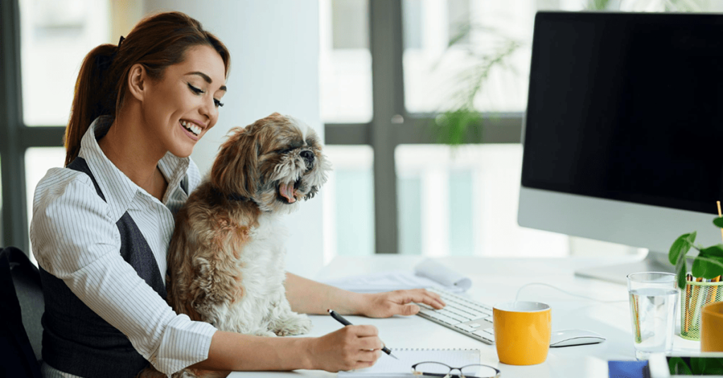 TechForGov streamlining pet license applications with fast and transparent processes